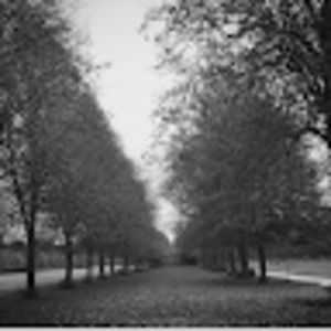 Meet your Posher, Hanna